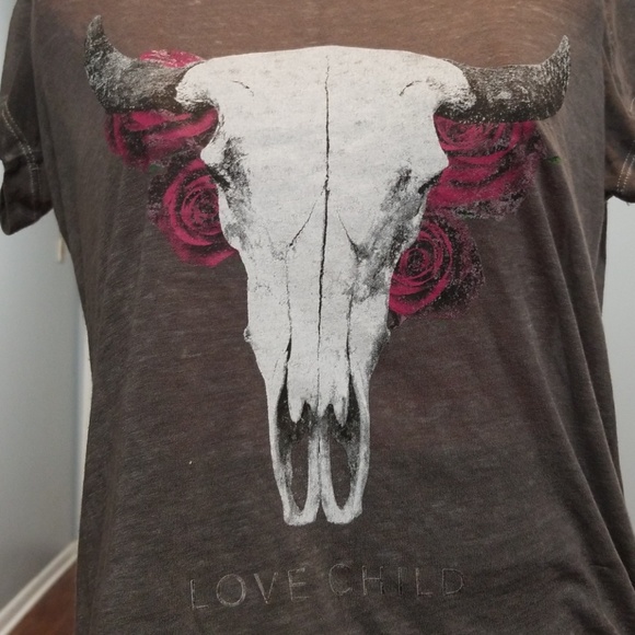 Bull skull with flowers. EXPRESS ONE ELEVEN - Picture 3 of 3